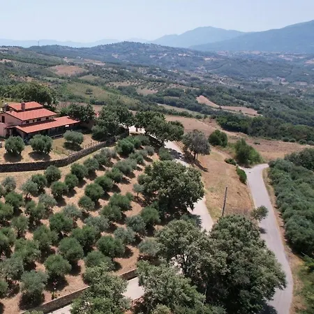 Tenuta Raimo *