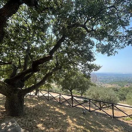 Tenuta Raimo *